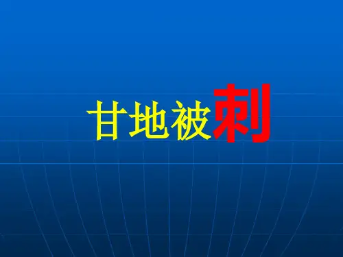 《甘地被刺》ppt课件