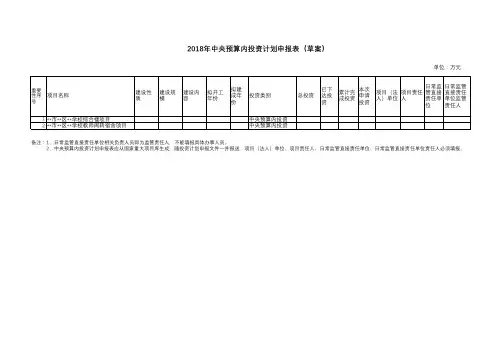 2018中央预算内申报表