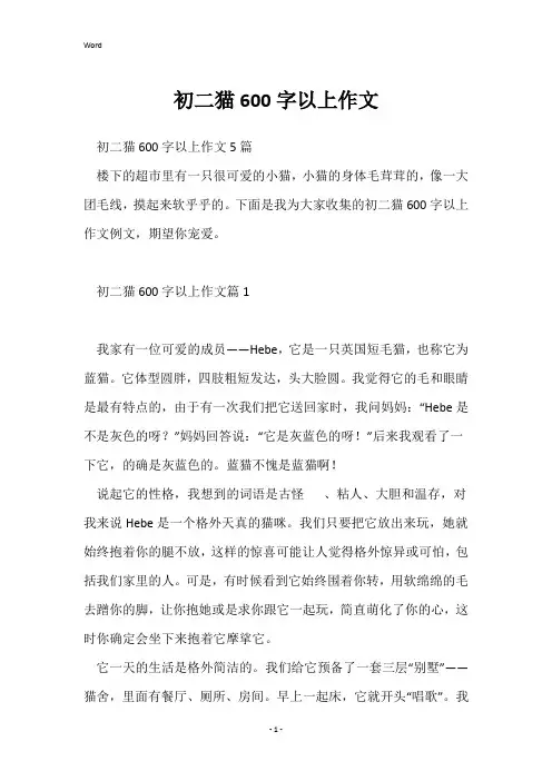 初二猫600字以上作文