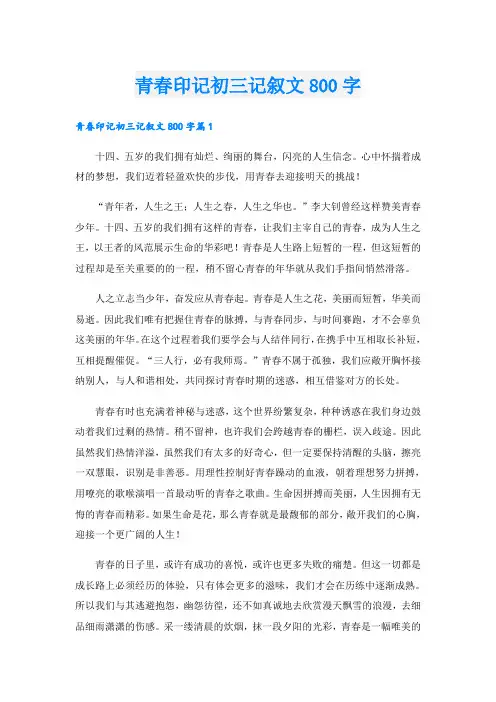 青春印记初三记叙文800字