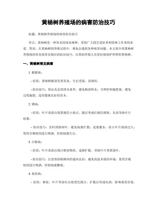 黄杨树养殖场的病害防治技巧