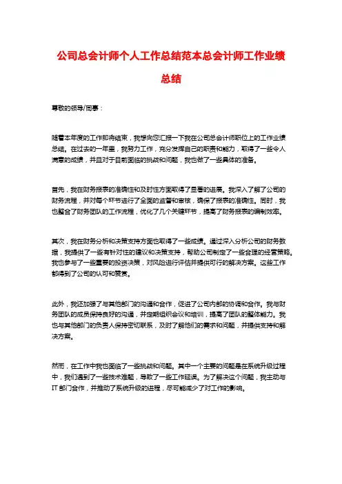 公司总会计师个人工作总结范本总会计师工作业绩总结