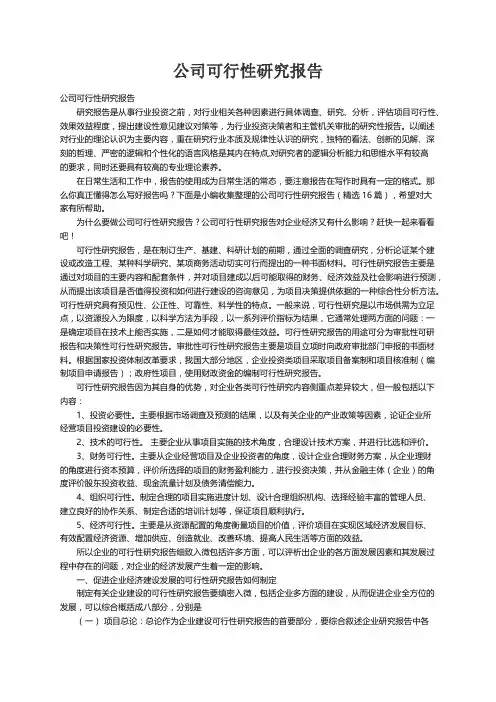 公司可行性研究报告（精选16篇）