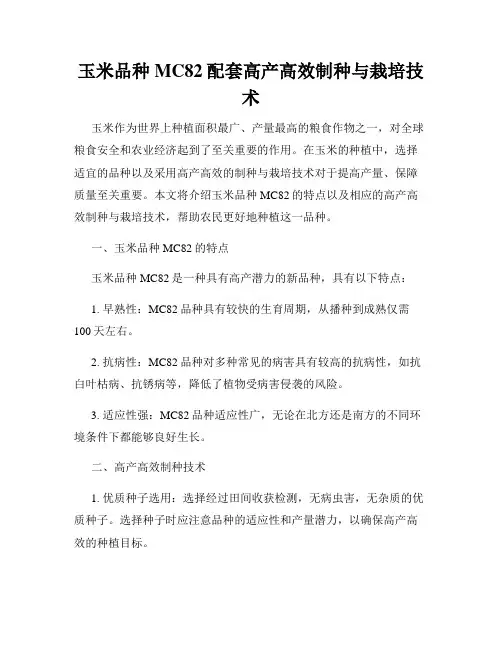 玉米品种MC82配套高产高效制种与栽培技术