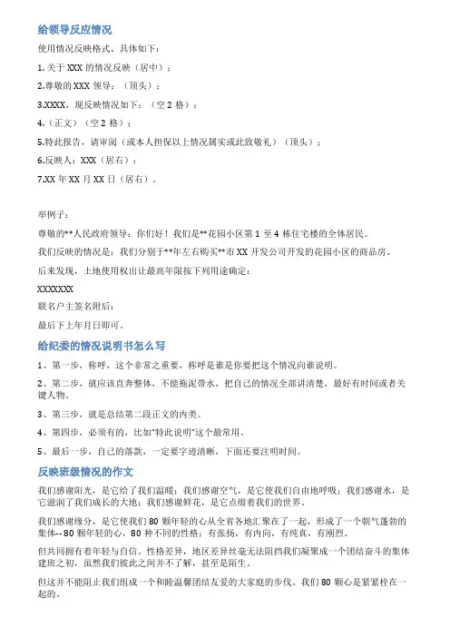 情况反映范文