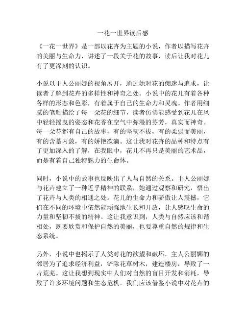 一花一世界读后感