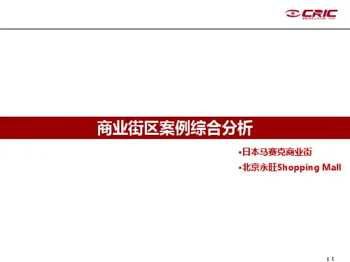 商业街区案例综合分析教案资料