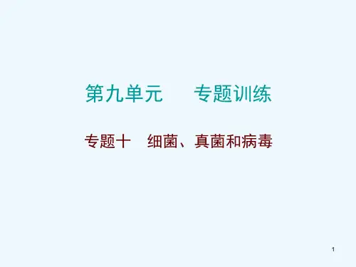 中考生物总复习专题十细菌真菌和病毒ppt课件