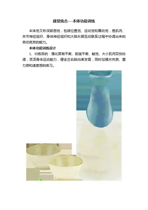 感觉统合---本体功能训练