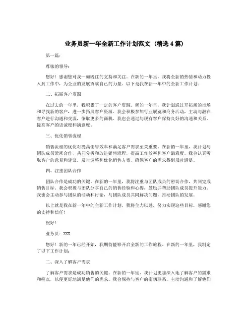 业务员新一年全新工作计划范文 (精选4篇)