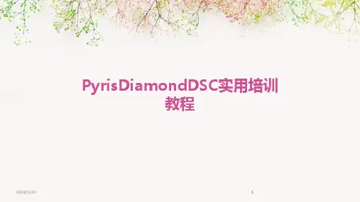 2024版PyrisDiamondDSC实用培训教程