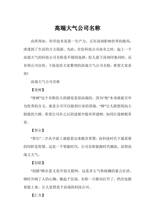 高端大气公司名称
