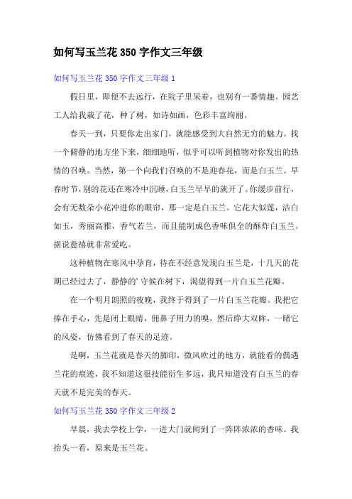 如何写玉兰花350字作文三年级