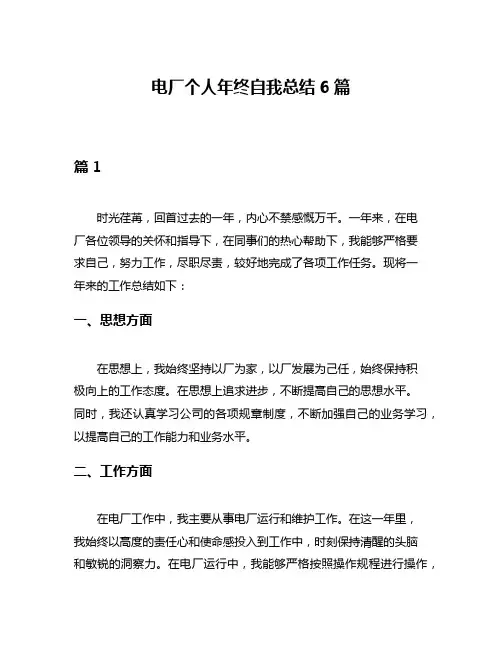 电厂个人年终自我总结6篇