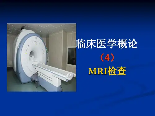 医学概论课件mr