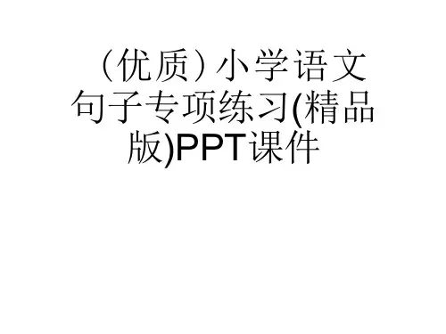 小学语文句子专项练习(精品版)课件