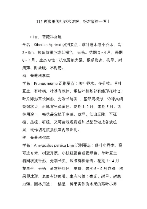 112种常用落叶乔木详解绝对值得一看
