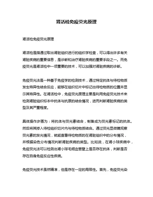 肾活检免疫荧光原理