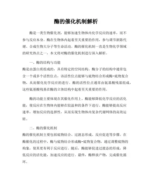 酶的催化机制解析