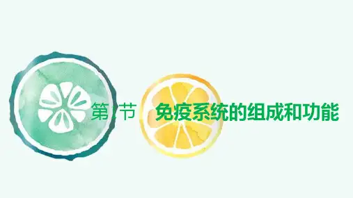 人教版(新教材)高中生物选择性必修1精品课件：4