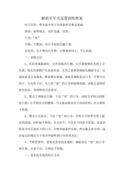 解放军军犬巡逻训练教案
