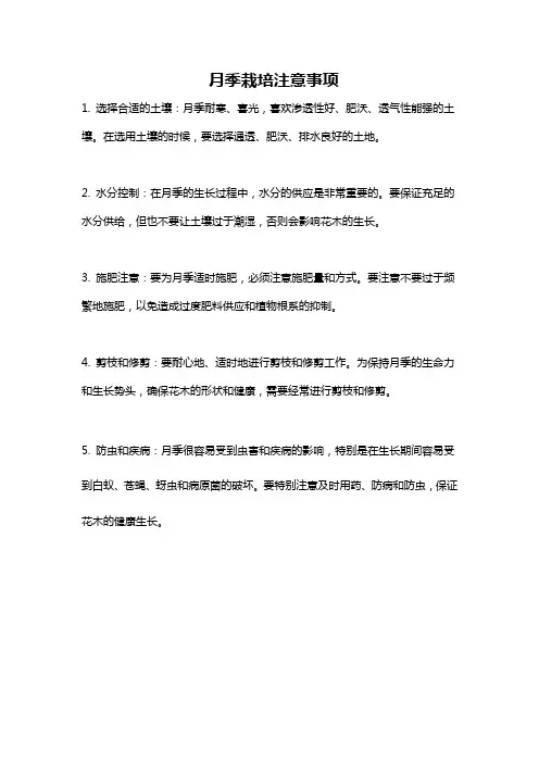 月季栽培注意事项