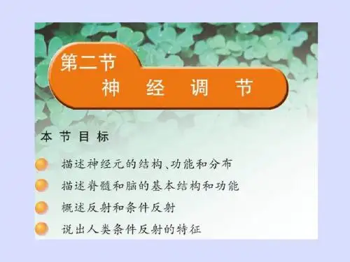 苏教版七年级下册生物 12.2人体的神经调节课件(共17张PPT)