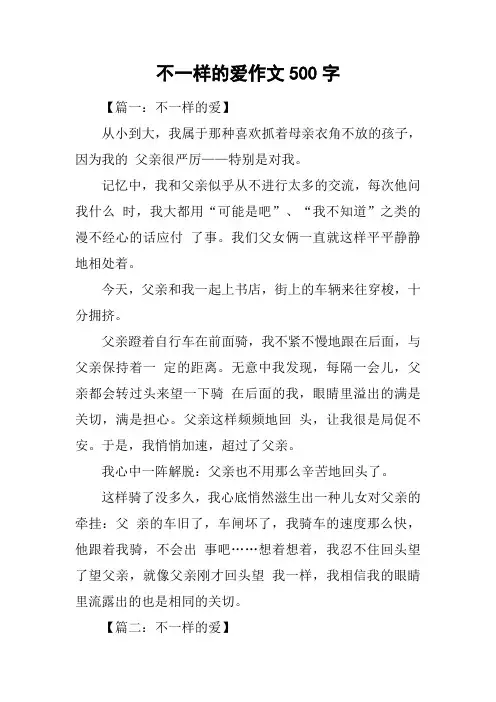 不一样的爱作文500字