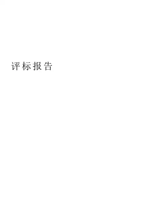 评标报告完整版