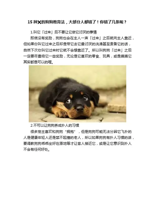 15种?的狗狗教育法，大部分人都错了！你错了几条呢？