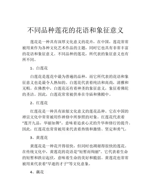 不同品种莲花的花语和象征意义