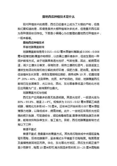 露地西瓜种植技术是什么