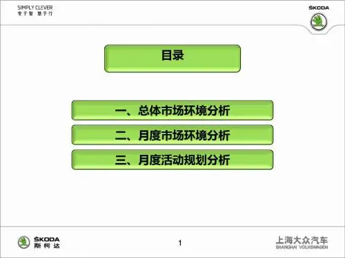 上海大众斯柯