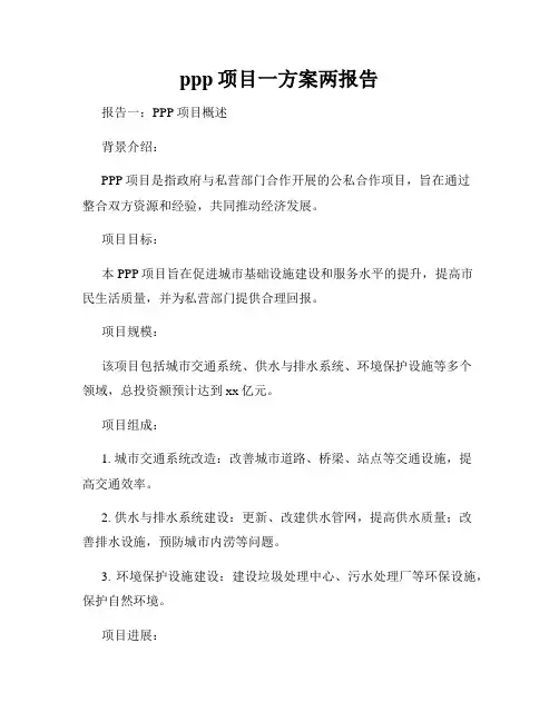 ppp项目一方案两报告