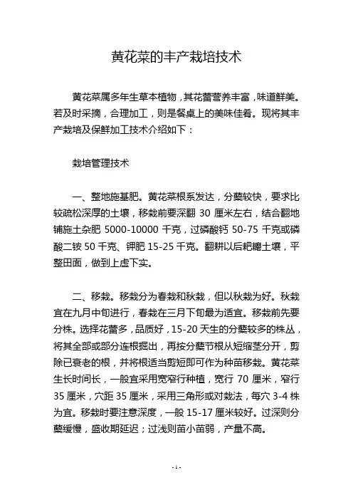 黄花菜的丰产栽培技术