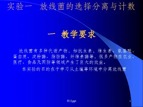 放线菌的选择分离培养