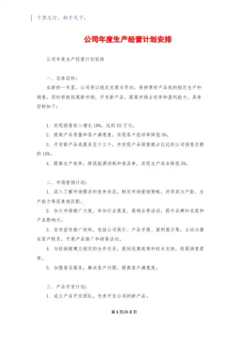 公司年度生产经营计划安排