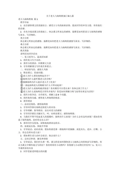 关于老人与海鸥教案汇编七篇