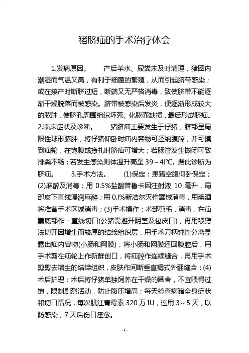 猪脐疝的手术治疗体会