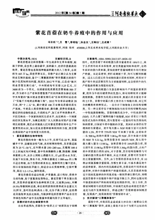 紫花苜蓿在奶牛养殖中的作用与应用