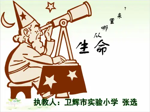 五年级下册科学-0生命从哪里来-冀教版(共19张)-PPT课堂课件