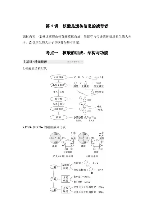 高考生物总复习核酸是遗传信息的携带者课件讲义练习题