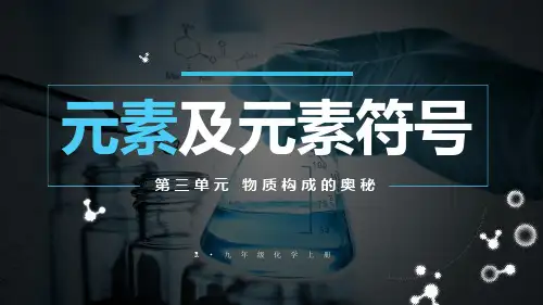 (2024秋季新教材)人教版化学九年级上册3.3.1 元素及元素符号课件(25张PPT).ppt