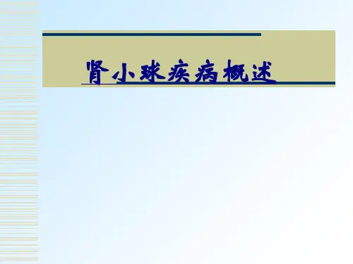 肾小球疾病概述PPT优质课件