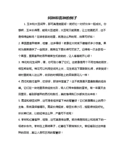 间种和套种的例子