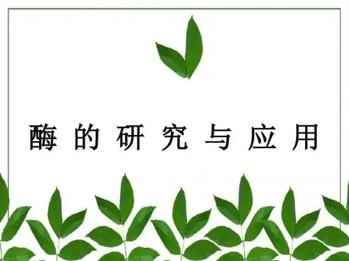 酶的研究与应用