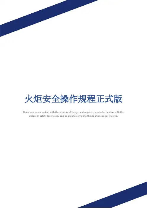 火炬安全操作规程正式版