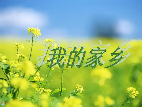 我的家乡