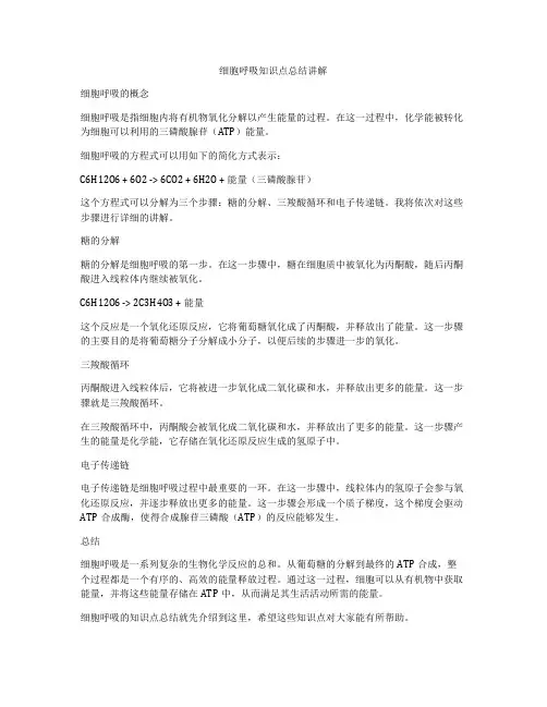 细胞呼吸知识点总结讲解