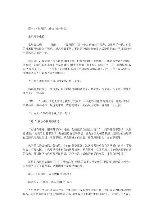 在风雨中成长
